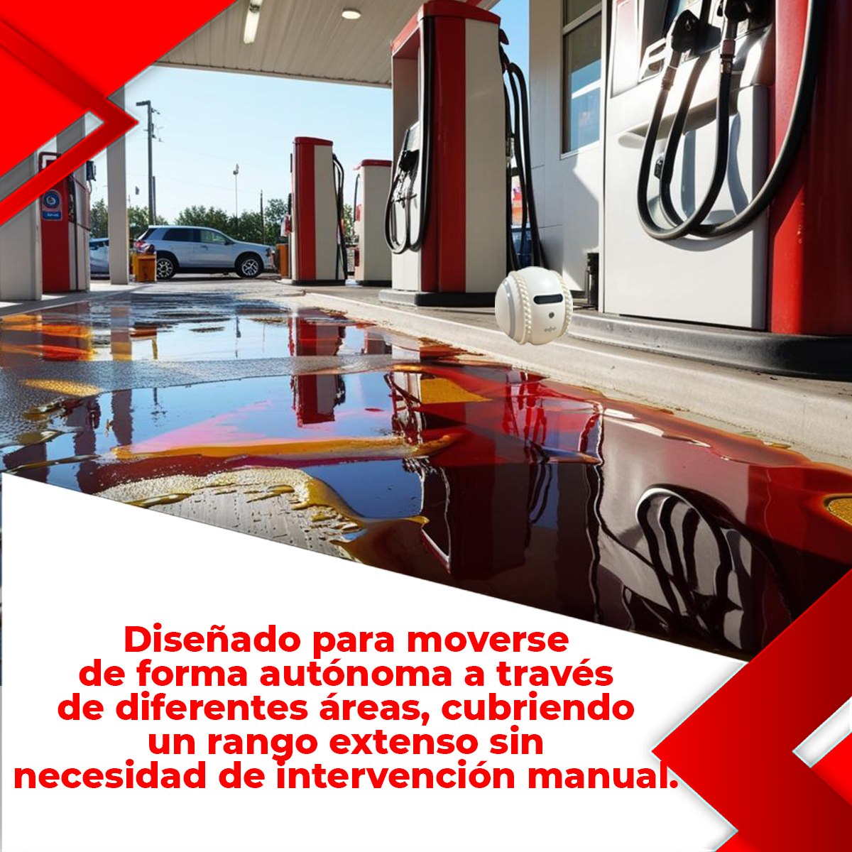 Imagen 6
